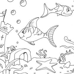 Раскраска: морская звезда (Животные) #6707 - Раскраски для печати
