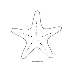 Раскраски: морская звезда - Раскраски для печати