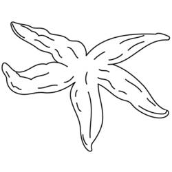Раскраска: морская звезда (Животные) #6713 - Раскраски для печати