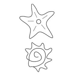 Раскраска: морская звезда (Животные) #6723 - Раскраски для печати