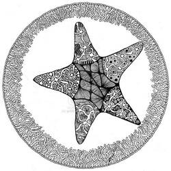 Раскраска: морская звезда (Животные) #6726 - Раскраски для печати