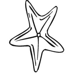 Раскраска: морская звезда (Животные) #6765 - Раскраски для печати