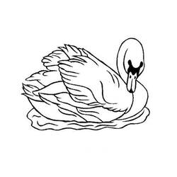 Раскраска: лебедь (Животные) #4993 - Раскраски для печати