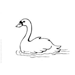 Раскраска: лебедь (Животные) #4995 - Раскраски для печати