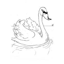 Раскраска: лебедь (Животные) #5000 - Раскраски для печати