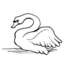 Раскраска: лебедь (Животные) #5002 - Раскраски для печати