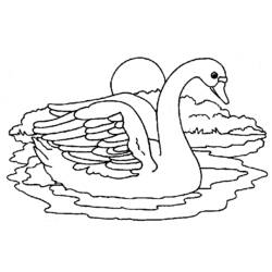 Раскраска: лебедь (Животные) #5014 - Раскраски для печати