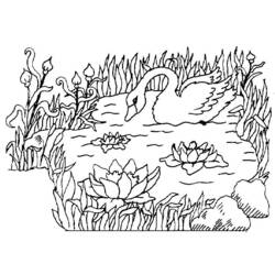 Раскраска: лебедь (Животные) #5019 - Раскраски для печати