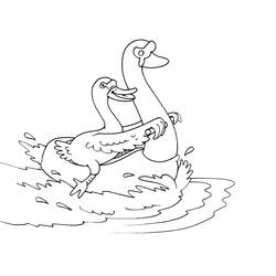 Раскраска: лебедь (Животные) #5023 - Раскраски для печати