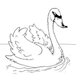Раскраска: лебедь (Животные) #5024 - Раскраски для печати