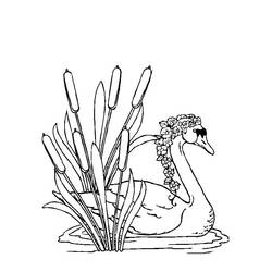 Раскраска: лебедь (Животные) #5038 - Раскраски для печати