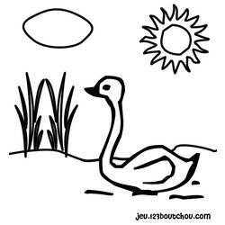 Раскраска: лебедь (Животные) #5042 - Раскраски для печати