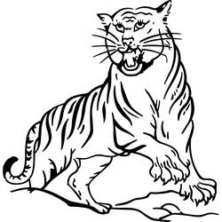 Раскраска: Tigris (Животные) #13596 - Раскраски для печати