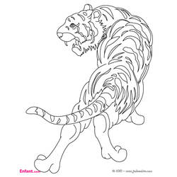 Раскраска: Tigris (Животные) #13600 - Раскраски для печати