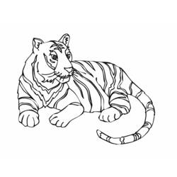 Раскраска: Tigris (Животные) #13604 - Раскраски для печати