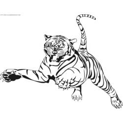 Раскраска: Tigris (Животные) #13608 - Раскраски для печати