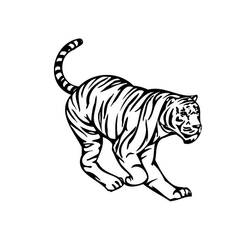 Раскраска: Tigris (Животные) #13611 - Раскраски для печати