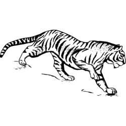Раскраска: Tigris (Животные) #13613 - Раскраски для печати