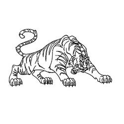Раскраска: Tigris (Животные) #13617 - Раскраски для печати