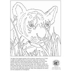 Раскраска: Tigris (Животные) #13627 - Бесплатные раскраски для печати