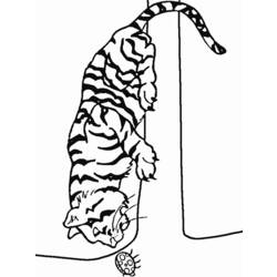 Раскраска: Tigris (Животные) #13651 - Бесплатные раскраски для печати