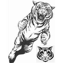 Раскраска: Tigris (Животные) #13672 - Раскраски для печати
