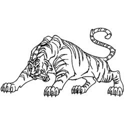 Раскраска: Tigris (Животные) #13688 - Раскраски для печати