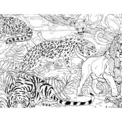 Раскраска: Tigris (Животные) #13711 - Раскраски для печати