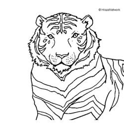 Раскраска: Tigris (Животные) #13772 - Бесплатные раскраски для печати