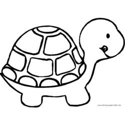 Раскраска: черепаха (Животные) #13388 - Раскраски для печати