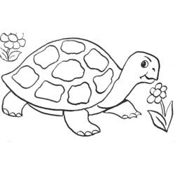 Раскраска: черепаха (Животные) #13391 - Раскраски для печати