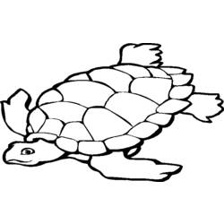 Раскраска: черепаха (Животные) #13396 - Раскраски для печати