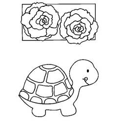 Раскраска: черепаха (Животные) #13402 - Раскраски для печати