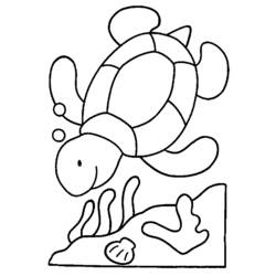 Раскраска: черепаха (Животные) #13415 - Раскраски для печати