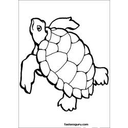 Раскраска: черепаха (Животные) #13429 - Раскраски для печати