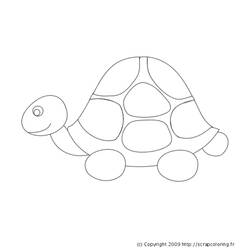 Раскраска: черепаха (Животные) #13437 - Бесплатные раскраски для печати