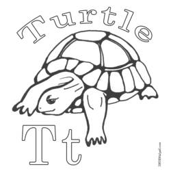 Раскраска: черепаха (Животные) #13462 - Бесплатные раскраски для печати
