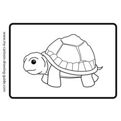 Раскраска: черепаха (Животные) #13466 - Раскраски для печати