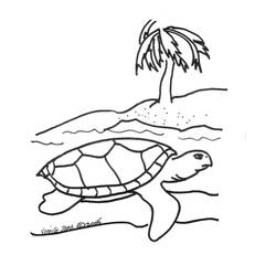 Раскраска: черепаха (Животные) #13469 - Раскраски для печати