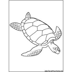 Раскраска: черепаха (Животные) #13485 - Раскраски для печати