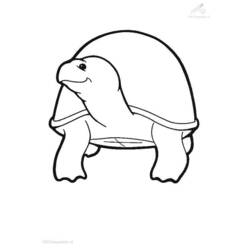 Раскраска: черепаха (Животные) #13526 - Бесплатные раскраски для печати