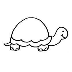Раскраски: черепаха - Раскраски для печати