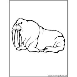 Раскраска: морж (Животные) #16477 - Раскраски для печати