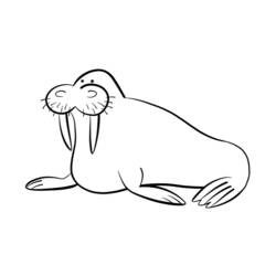 Раскраска: морж (Животные) #16480 - Раскраски для печати