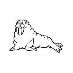 Раскраска: морж (Животные) #16530 - Раскраски для печати
