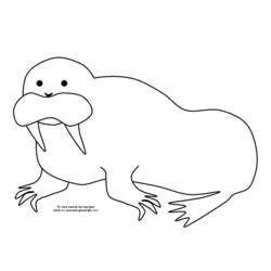 Раскраска: морж (Животные) #16653 - Раскраски для печати