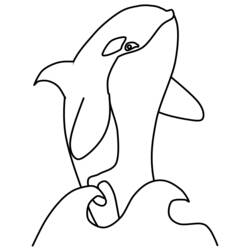 Раскраска: кит (Животные) #870 - Раскраски для печати