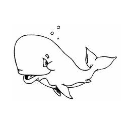 Раскраска: кит (Животные) #871 - Раскраски для печати