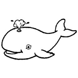 Раскраска: кит (Животные) #875 - Раскраски для печати