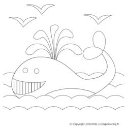 Раскраска: кит (Животные) #889 - Бесплатные раскраски для печати